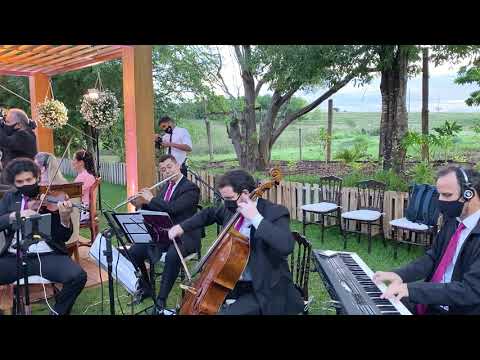 Escolhi Te Esperar - Instrumental - Violino - Entrada de Crianças - Musical Songsdei