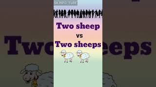 Two Sheep vs Two Sheeps: Plural form of Sheep। #Shorts #Ytshorts #Youtubeshorts