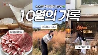 부산 청사포→대구→합천까지✨ 요즘의 일상 브이로그 | 잠봉뵈르 만들기·우봉샤브·핑크뮬리 명소🌸