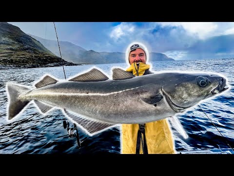 So etwas habe ich noch nie erlebt! 🇳🇴 Angeln in Norwegen