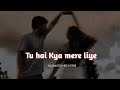 Tu Hai Kya Mere Liye Slowed Reverb Lofi Flip