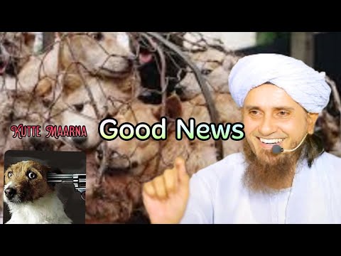 Dog Killing|Thanks For KMC|Good News|Mufti Tariq Masood
