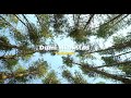 Dumi Mkokstad - Usibiyele (Official Lyric Video)