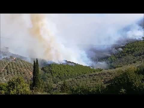 Incendio Monte Serra@25.09.2018 toscana-prov. pisa - Fede togna - Pubblicato il 25 set 2018