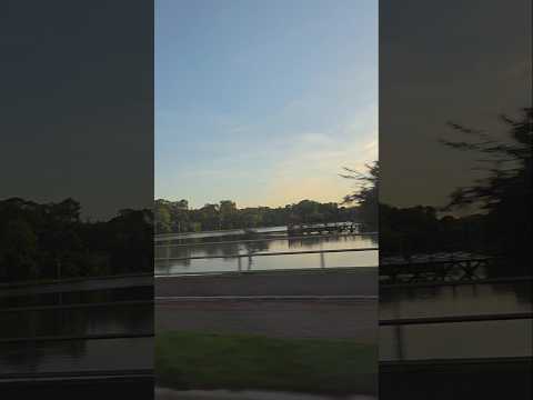 Lucas do Rio verde   | lago #shorts #matogrosso #Brasil #lagoa #patinhos #tiktok
