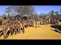 IMpande Yezintombi 2024 Zedube