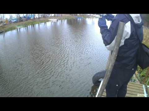 Pike striking Svartzonker