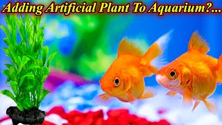 Can We Add Artificial Plants To Gold Fish Tank?...  Problem To Fish Aquarium.. / Fish Aquarium Tamil