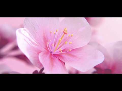 Energiereich Glücklich - das TagesOrakel von Malkiel  für den 26.1.20 - Mondpausen - Tarot