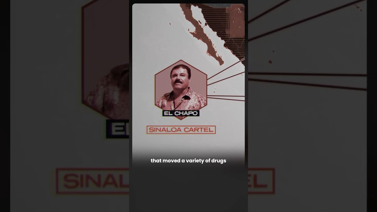 The Rise of El Chapo