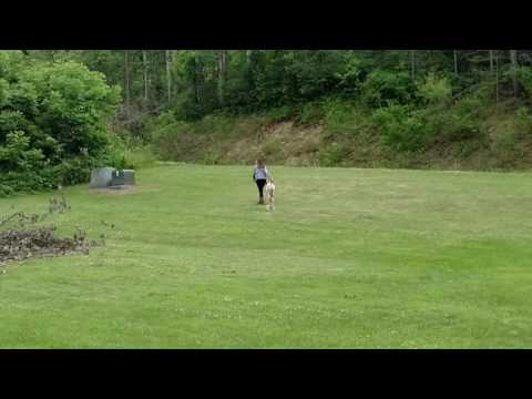 Foals second day out he loves it.