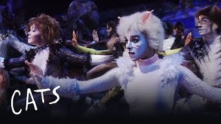 Cats the Musical 2016