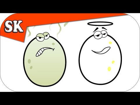 HOW TO TELL IF AN EGG IS FRESH - Steve's Kitchen Tips