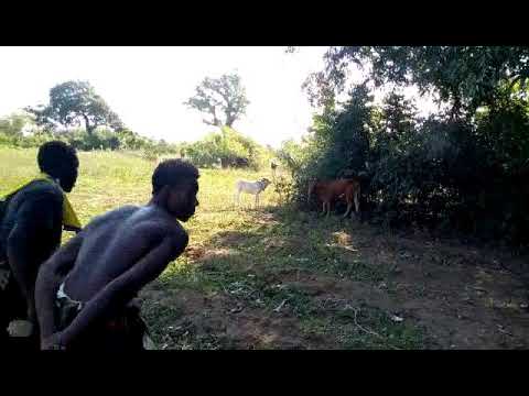 Juma mpemba vs abushiri mpemba