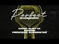 David Guetta & Mason vs Princess Superstar - Perfect (Exceeder) [Lyric Video]