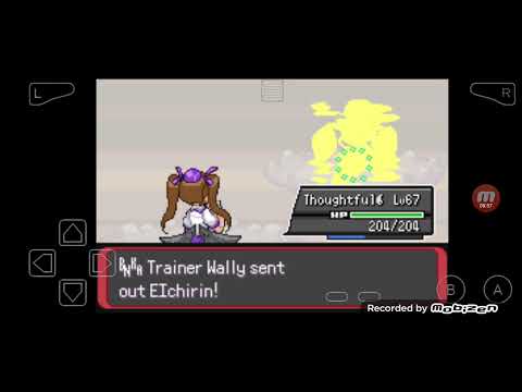 Touhoumon World Link Revised Mono Flying Run - Wally #3