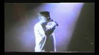 New Order Vanishing Point Reading 89