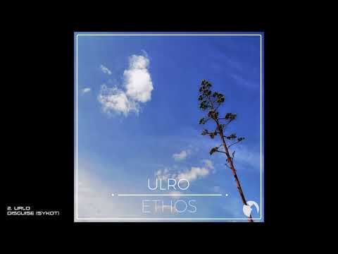 2. Ulro - Disguise (Sykot)