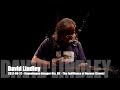 David Lindley - The Indifference of Heaven (Warren Zevon) - 2012-09-27 -  Copenhagen Amager Bio, DK