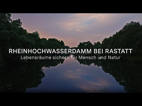 Rheinhochwasserdamm bei Rastatt – Lebensräume sichern für Mensch und Natur