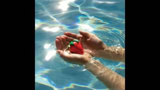 Miniature Tigers - Cleopatra