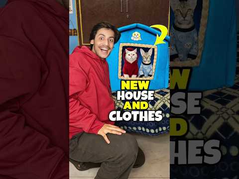 New House And Clothes 💀😁 | Mini Vlog #shorts #minivlog #ashortaday #vlog #tranding #cats #cat