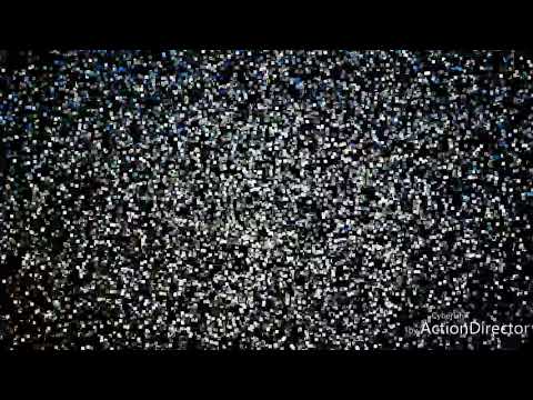 Champ De Mars Horse Racing Analyse (Meeting 8 - 11 May 2019)