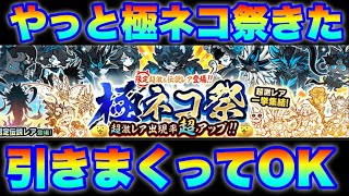 やっと極ネコ祭ガチャきたぞ！引きまくってOK！　　#にゃんこ大戦争　【オレンジチャンネル】