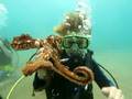 Dylan Scuba Diving With An Octopus