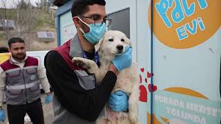 TALAS PATİEVİ DOĞAL YAŞAM ALANI 500 CAN İÇİN SEÇKİN BİR YUVA