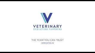 State of the Veterinary Market throughout 2022