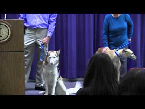 PANDA Press Conference