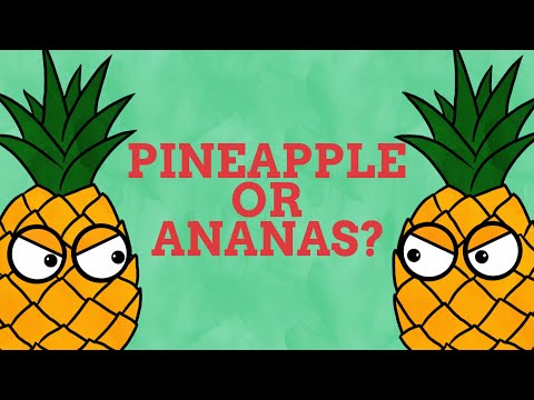 Why Are Ananas Called Pineapples In English?