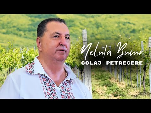 Neluta Bucur | Colaj BEST OF Cele Mai Bune Melodii de Petrecere | Colaj Neluta Bucur 2024