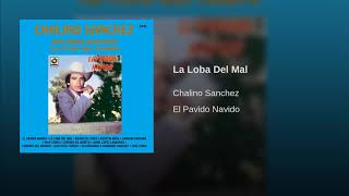 Chalino Sanchez La Loba Del Mal