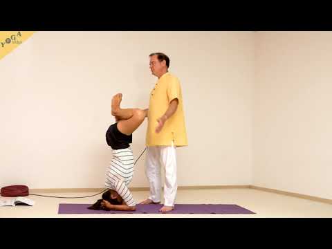 Schmetterling im Kopfstand - Yoga Asana Lexikon