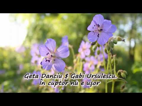 Geta Danciu $ Gabi Ursulescu "În cuptor nu e ușor"