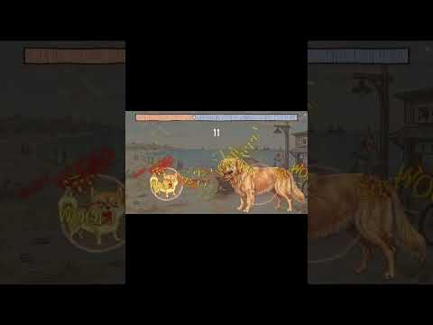 Bow Wow Battle