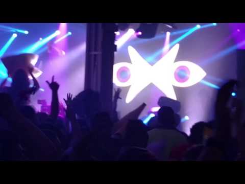 Dada Life Brooklyn Warehouse (Born to Rage)