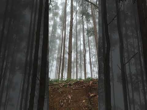 dia 11: Conceição das Pedras x Vargem Alegre