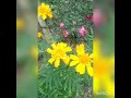 Jot Se Jot Jagate Chalo Youtube Viral Share