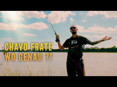 Chavo Frate - WO GENAU ?! 🪱 ( Musik Video )