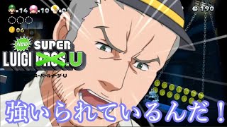 【ゆっくり実況ルイージUデラックス】駆け抜けろ！古明地ブラザーズU part2