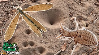 Download lagu YOU MUST NOT KNOW THE ORIGINAL FORM OF UNDUR UNDUR | THESE ARE THE FACTS ABOUT TEMBUKUR mp3