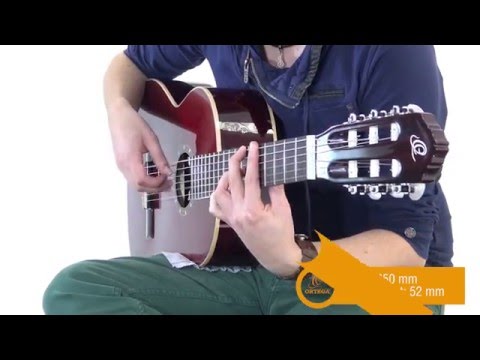 Обзор классической гитары Ortega R121WR