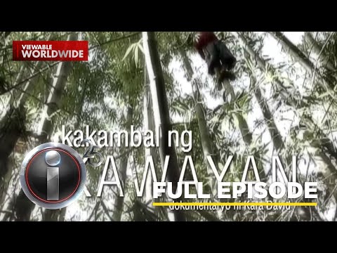 ‘Kakambal ng Kawayan,’ dokumentaryo ni Kara David (Full Episode) | I-Witness