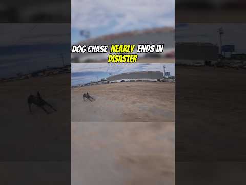 Just imagine if my ebike stopped working 😱 #dog #dogchase #fyp #tuttio #ebike #mods #bikelife #wow