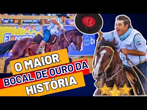 Bocal de Ouro 2024 Criollo Horse Show