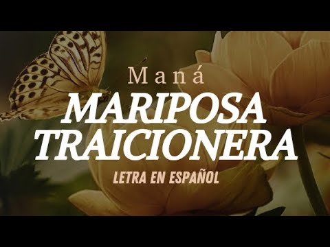 MANÁ - Mariposa Traicionera (letra en español)