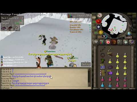 Armadyl Pet on a Pure ( 4/4GWD PETS ACHIEVED ) Kree'arra